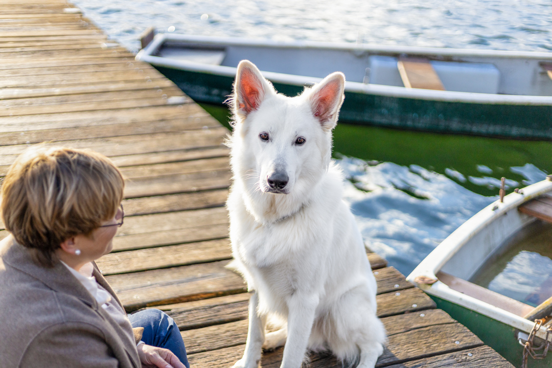 Hundebild weißer Schäferhund mit Besitzerin am Steg