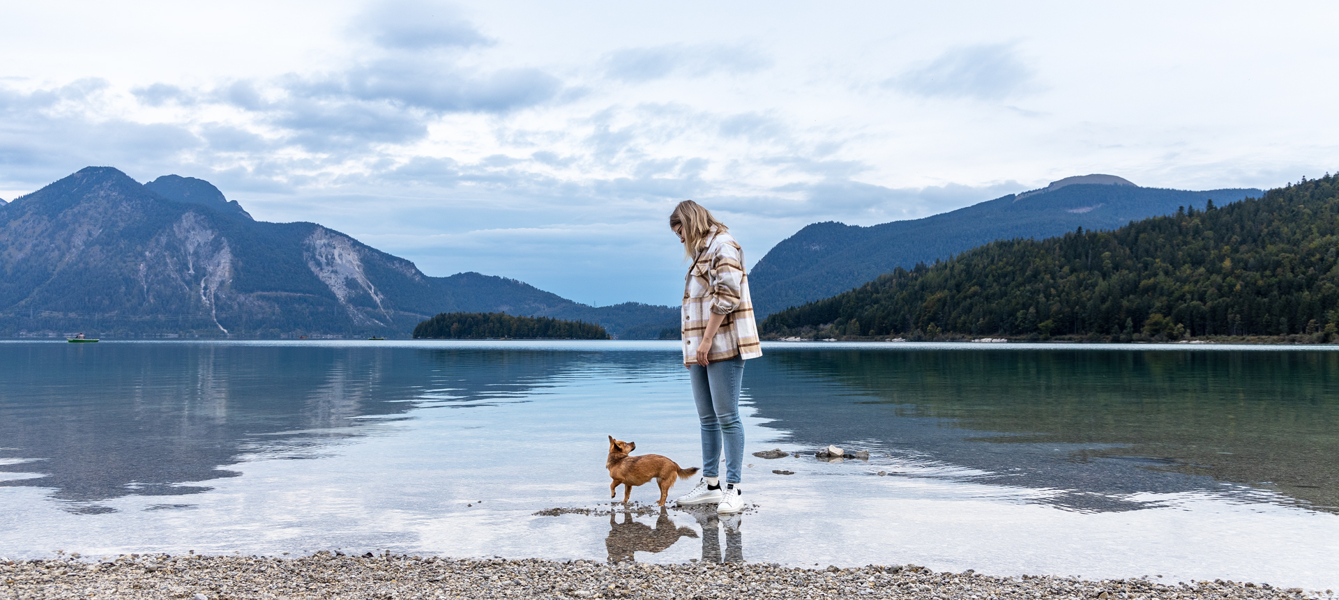 Hundefotograf-kleiner brauner Hund Hundebesitzer und kleiner brauner Hund stehen im See im Hintergrund ist ein Bergpanorama zu sehen