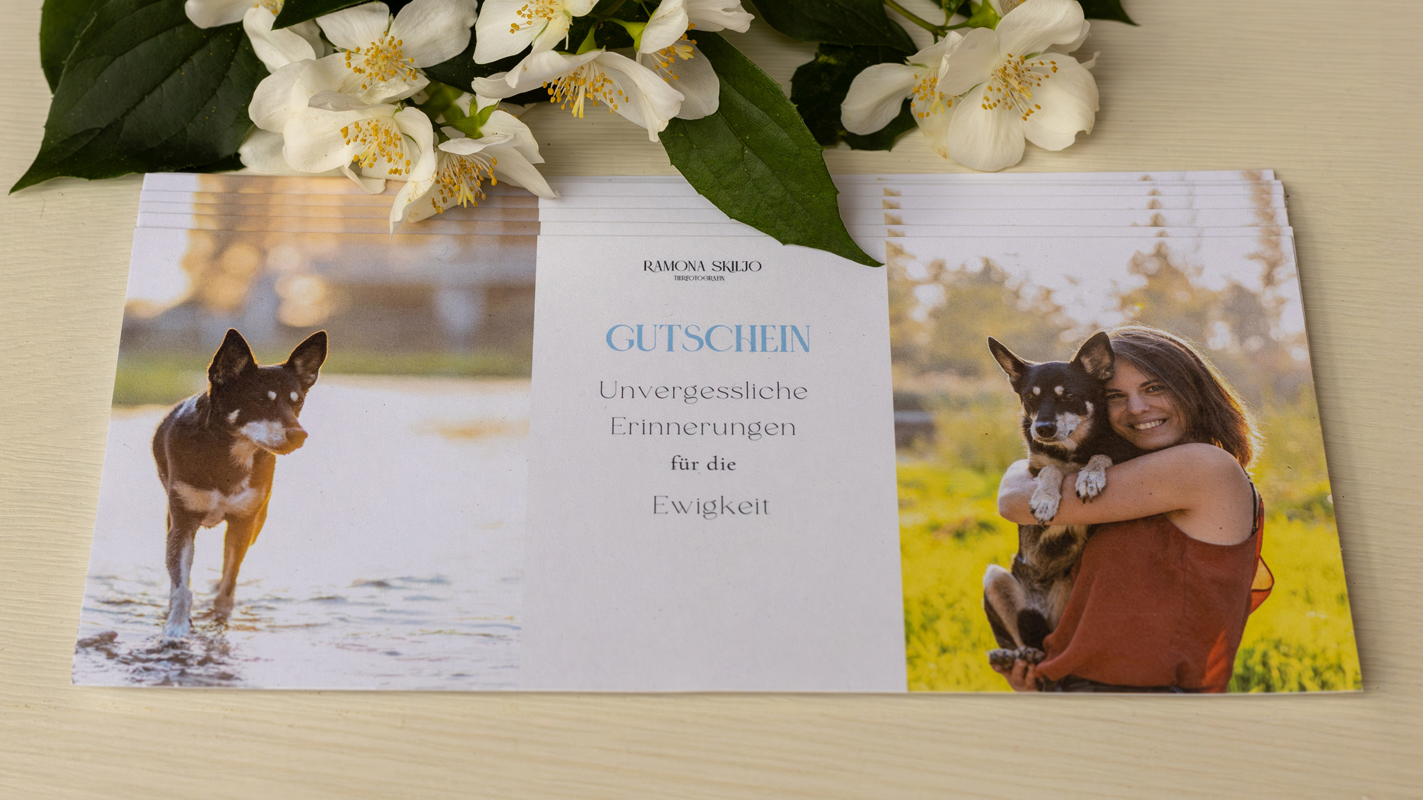 Geschenkgutschein für ein Hundefotoshooting