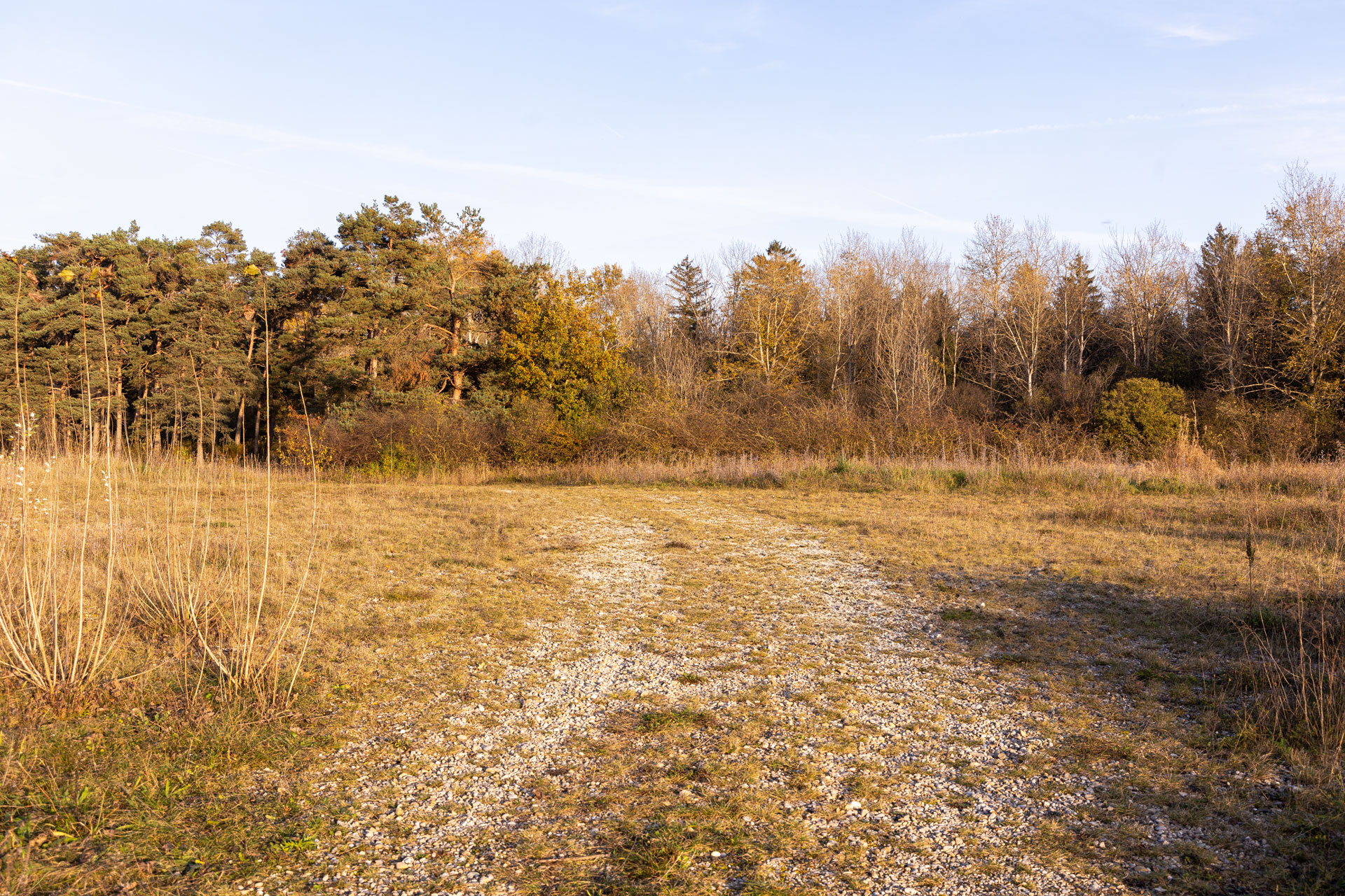 Fotolocation-Hundefotografie Naturschutzgebiet