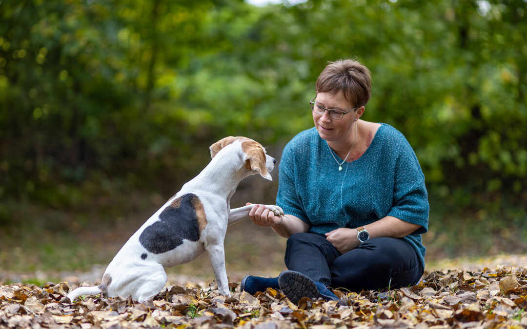 Herbstshooting mit Beagle-Hündin Romy