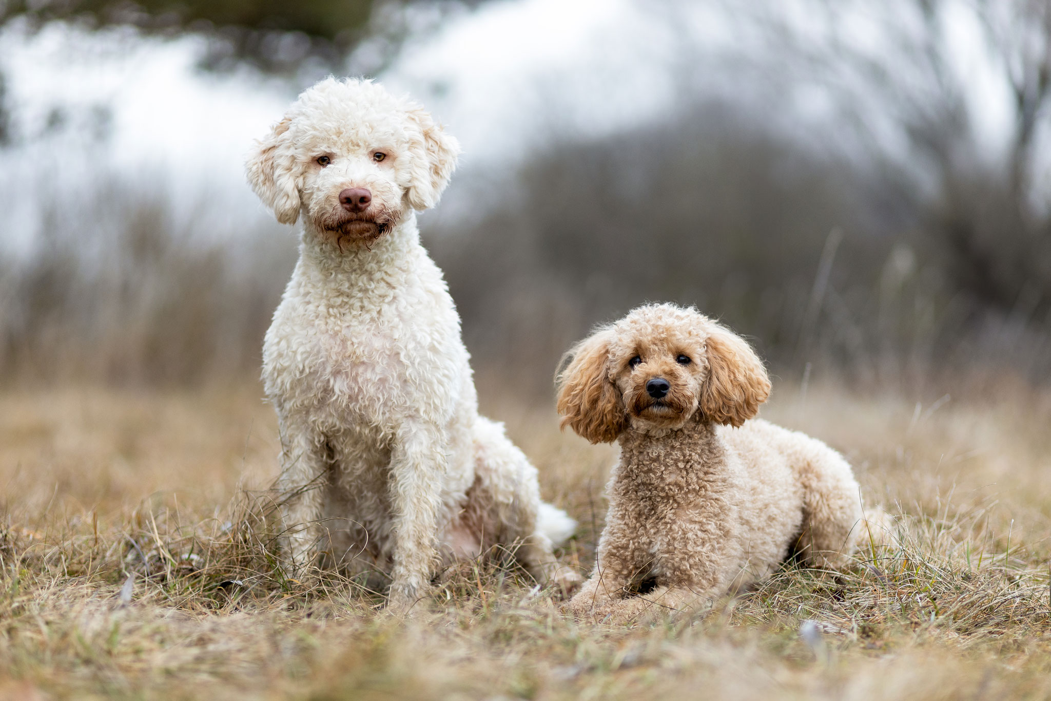 Web-7 Naturschutzgebiet
